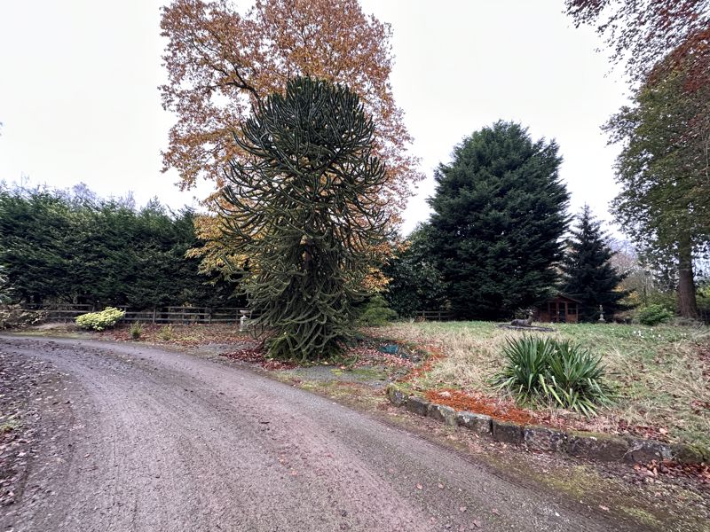 Driveway- click for photo gallery